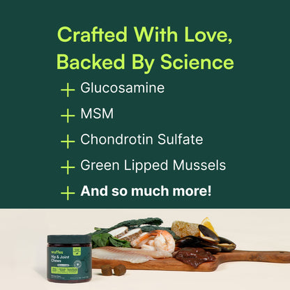 Hip & Joint Chews