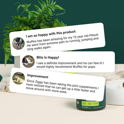 Hip & Joint Chews